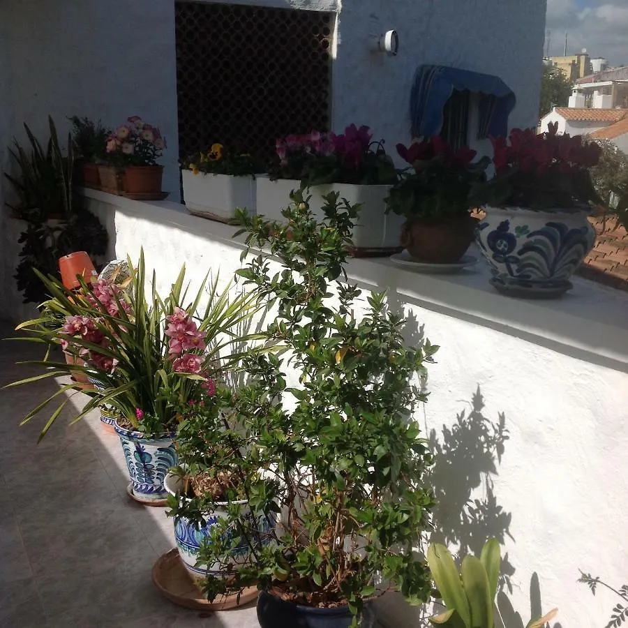 Adelfas Mar Apartment Benajarafe